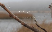 Lucky .... und Nebel, und fallen auf einmal ... / ***