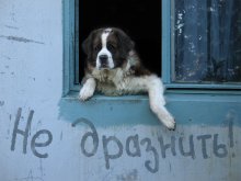 Nicht ärgern! / ***