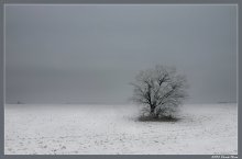 Landschaft mit einsamen Baum / ***