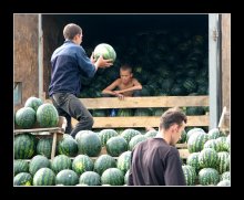 Watermelon King / ***