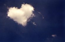 Heart / ***