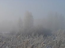 Nebel, Frost, Sonne / ***