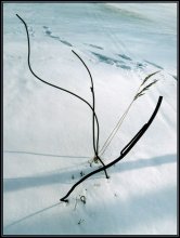 Winter Track Nummer 2 / ***