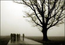 Übergeben im Nebel / ***
