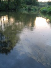 Spaziergang bei Sonnenuntergang (... Jacobi von Suchumi) / ***