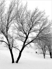 Graphics Winter # 1 / ***