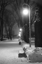 Nocturne / ***