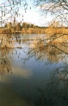 Nicholas Lazarus / ***