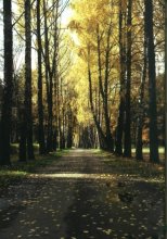 Nicholas Lazarus / ***