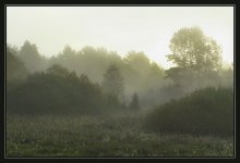 Nebel / ***