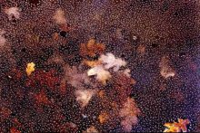 Der erste Frost / ***