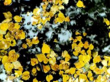 Regen im Oktober / ***