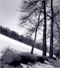 Bäume aufwachsen / ***