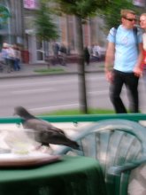 in Bewegung ... / ***