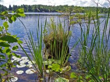 Erinnerungen an den Sommer / ***