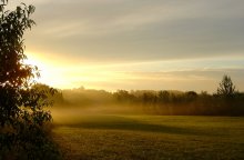 Über Dämmerung mit Nebel / ***