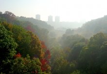 der städtischen Nebel / Rosedale Park, Torornto