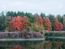 Herbst / ***