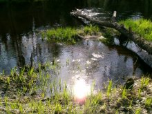 Mai Heimat Weißrussland / ***