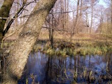 Near village / No photoshop)))