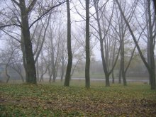 Minsk im Dezember / ***