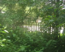 Spring aus dem Fenster / ***