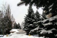 Winterlandschaft / ***