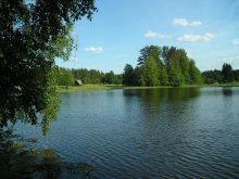 Der Wind auf dem See / ***