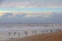 Meer / ***