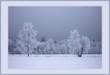 Winter Schweigen / ***