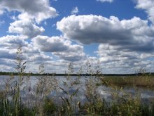 Wolken / ***