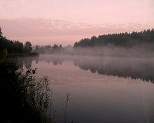 Pre-dawn Nebel / ***