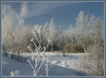 Frost und Sonne ... (I) / ***