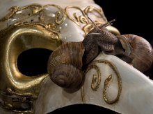 Masken fallen, kam die Liebe / ***
