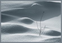 Die Textur eines Winter (On Snow Dunes) / ***