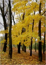 In Minsk, Oktober ... # 3 / ***