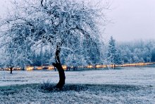 Über Lumina bei trübem Wetter / ***