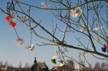 Der Frühling kommt ... / ***