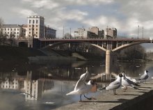 Witebsk Möwen oder aus den Kirow-Brücke. / ***