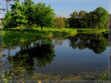 Park Teich. / ***