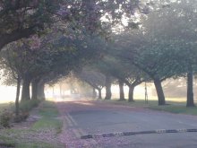 Frühlingsmorgen / ***