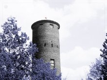 Alte Turm / ***