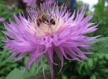 nicht zu unterdrücken:) / ***