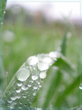 Von Geschichten über die regen / ***