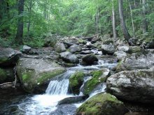 Nicht weit vom Wasserfall / ***