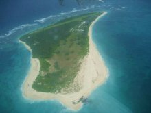 Bird Island / ***