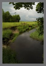 Niederschlag in den Polesie / ***