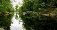 Flüstern der namenlose Bäche .. / ***