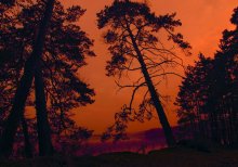 Bloody Dawn / ***