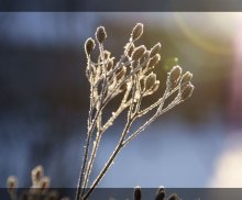 Von der Sonne ... / ***